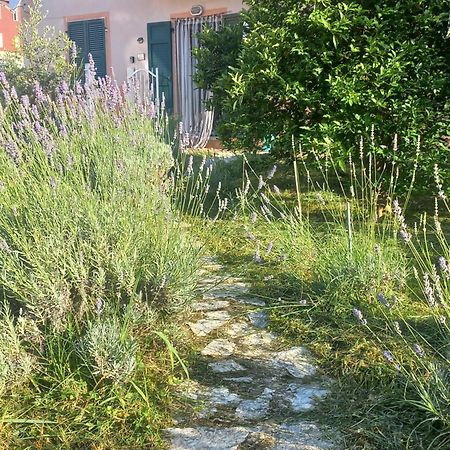 La Casa Di Ulivi Villa Piano di Follo Kültér fotó