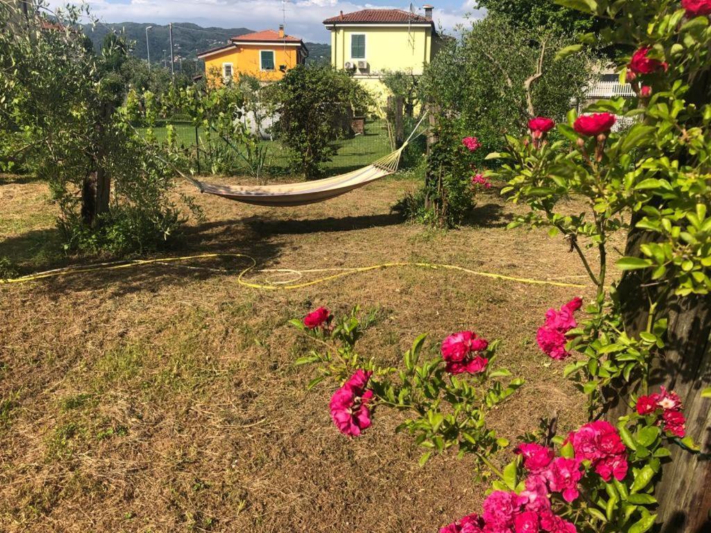 La Casa Di Ulivi Villa Piano di Follo Kültér fotó