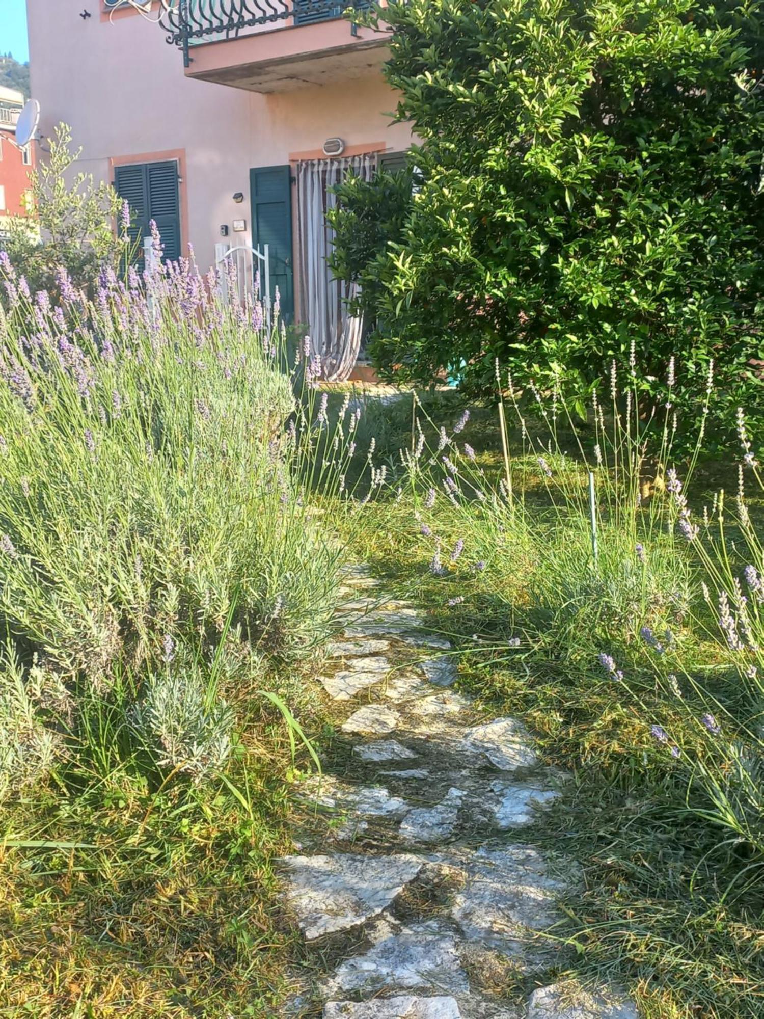 La Casa Di Ulivi Villa Piano di Follo Kültér fotó
